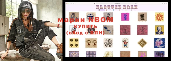 скорость Ельня