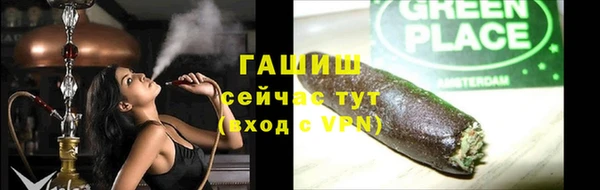 скорость Ельня