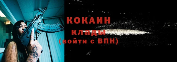 скорость Ельня