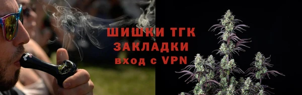 мдпв Елизово