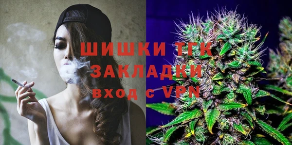 мдпв Елизово