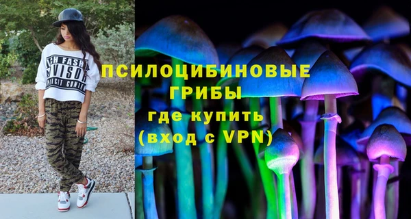 мдпв Елизово