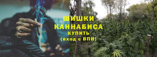 мдпв Елизово