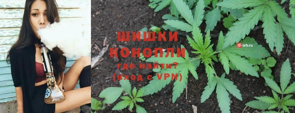 мдпв Елизово