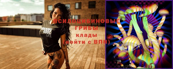бошки Елабуга
