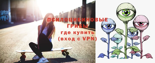 скорость Ельня
