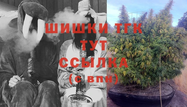 мдпв Елизово