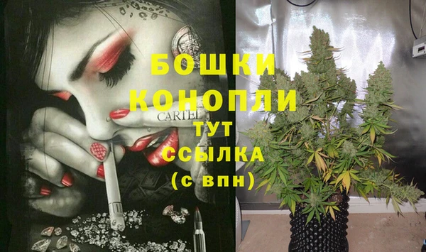 мдпв Елизово
